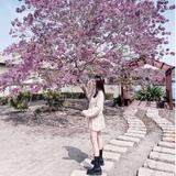 由 s610119018 (刊登 ID 1383692411，圖片 1) 提交，位於 的 (類別：)，說明：。