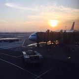(分類:)位於 。 由 sarol. 提交(商品編號 1451279805,圖片 1)。簡介: 。