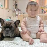(分類:)位於 。 由 chubeebee 提交(商品編號 1454334703,圖片 1)。簡介: 。