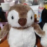 (Category: ) located in . Submitted by emeryx (Listing ID 1127290483, Image 1). Description: .