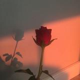 (Category: ) located in . Submitted by user.12345678910 (Listing ID 1366574296, Image 1). Description: .