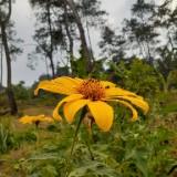 (Kategori: ) berada di . Dikirim oleh moniagask (ID iklan 1382219224, Gambar 1). Deskripsi: .