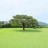 (分類:)位於 。 由 cheungwa555 提交(商品編號 1346169318,圖片 1)。簡介: 。