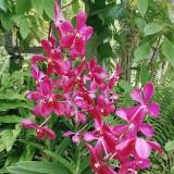 (Category: ) located in . Submitted by Aadaa (Listing ID 1263829904, Image 1). Description: .