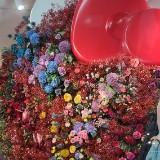 （分類：）位於 。 由 catcatwongg 提交（商品編號 1346141491，圖片 1）。簡介： 。