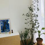 (Category: ) located in . Submitted by jlyeo (Listing ID 1352194213, Image 1). Description: .