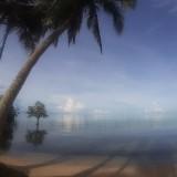 (Category: ) located in . Submitted by jmbikentrip (Listing ID 1454387410, Image 1). Description: .