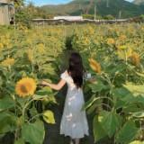 （分類：）位於 。 由 sell.lee 提交（商品編號 1265154784，圖片 1）。簡介： 。