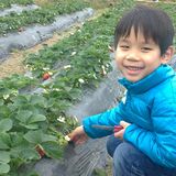 （分類：）位於 。 由 ttterrytam 提交（商品編號 1384771399，圖片 1）。簡介： 。