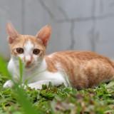 (Kategori: ) berada di . Dikirim oleh jodyarya (ID iklan 1382946892, Gambar 1). Deskripsi: .