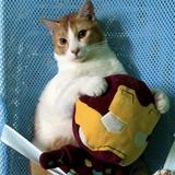 (Category: ) located in . Submitted by Nothing (Listing ID 1384563699, Image 1). Description: .