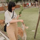 由 a86082513 (刊登 ID 1361617142，圖片 1) 提交，位於 的 (類別：)，說明：。