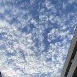 (Category: ) located in . Submitted by jalsfact (Listing ID 1374764823, Image 1). Description: .