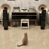 (Category: ) located in . Submitted by audiophile_cat (Listing ID 1384195261, Image 1). Description: .