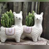 （分類：）位於 。 由 bunny_chuu 提交（商品編號 1106758553，圖片 1）。簡介： 。