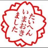 由 mimi_ta (刊登 ID 1381664346，圖片 1) 提交，位於 的 (類別：)，說明：。
