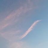 (Category: ) located in . Submitted by kin.d (Listing ID 1375555408, Image 1). Description: .