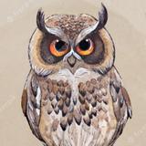 （分類：）位於 。 由 nightowl. 提交（商品編號 1126295137，圖片 1）。簡介： 。