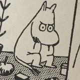 由 y_u_u_u (刊登 ID 1372632951，圖片 1) 提交，位於 的 (類別：)，說明：。