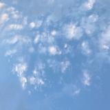 由 mikimika (刊登 ID 1378769742，圖片 1) 提交，位於 的 (類別：)，說明：。