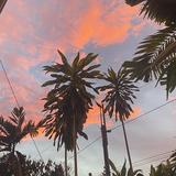 (Category: ) located in . Submitted by aj_ig (Listing ID 1421367049, Image 1). Description: .