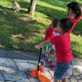 (Category: ) located in . Submitted by gg_cc (Listing ID 1297917696, Image 1). Description: .