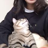 由 sniio (刊登 ID 1384991558，圖片 1) 提交，位於 的 (類別：)，說明：。