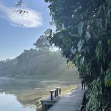 (Category: ) located in . Submitted by pppmy (Listing ID 1348455600, Image 1). Description: .