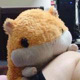 由 neko850821 (刊登 ID 1382273165，圖片 1) 提交，位於 的 (類別：)，說明：。