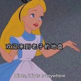 由 swaggggiece (刊登 ID 1383427096，圖片 1) 提交，位於 的 (類別：)，說明：。