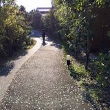 (分類:)位於 。 由 wcwh2 提交(商品編號 1453387531,圖片 1)。簡介: 。