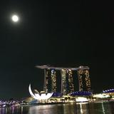 (Category: ) located in . Submitted by gkyeo (Listing ID 1331778990, Image 1). Description: .