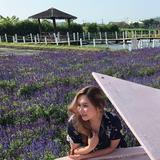 (Category: ) located in . Submitted by ililahihc (Listing ID 1355672983, Image 1). Description: .