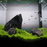 (Category: ) located in . Submitted by sltan2 (Listing ID 1353515381, Image 1). Description: .