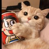 （分類：）位於 。 由 sand000 提交（商品編號 1382513504，圖片 1）。簡介： 。