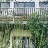 (Category: ) located in . Submitted by 970929 (Listing ID 1316880224, Image 1). Description: .