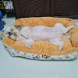 (Category: ) located in . Submitted by buymonathis (Listing ID 1295089236, Image 1). Description: .