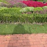 （分類：）位於 。 由 beautifullllllllme 提交（商品編號 1240986998，圖片 1）。簡介： 。