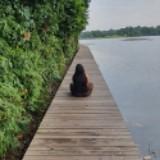 (Category: ) located in . Submitted by joylim1518 (Listing ID 1276610097, Image 1). Description: .