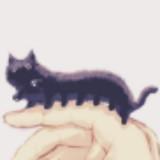 由 ruby212413 (刊登 ID 1383254730，圖片 1) 提交，位於 的 (類別：)，說明：。