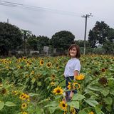 （分類：）位於 。 由 chengmeli 提交（商品編號 1383017613，圖片 1）。簡介： 。