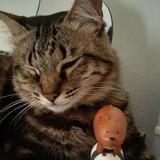 (Category: ) located in . Submitted by naorah00 (Listing ID 1348960620, Image 1). Description: .