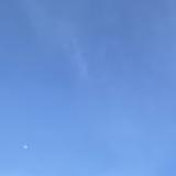 (Category: ) located in . Submitted by gtl_dl (Listing ID 1348296119, Image 1). Description: .