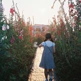 由 yunnnnnncc (刊登 ID 1349883941，圖片 1) 提交，位於 的 (類別：)，說明：。