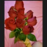(Category: ) located in . Submitted by pr3ttycollection (Listing ID 1280640977, Image 1). Description: .