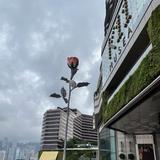 （分類：）位於 。 由 tzyzyyy 提交（商品編號 1384368313，圖片 1）。簡介： 。