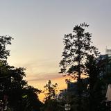 (Category: ) located in . Submitted by whitecrystal (Listing ID 1190834110, Image 1). Description: .