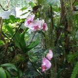 (Category: ) located in . Submitted by lizbef (Listing ID 1360897892, Image 1). Description: .