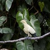 （分類：）位於 。 由 skbkt618 提交（商品編號 1332207825，圖片 1）。簡介： 。