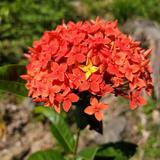 （分類：）位於 。 由 yeehoilai 提交（商品編號 1356674706，圖片 1）。簡介： 。